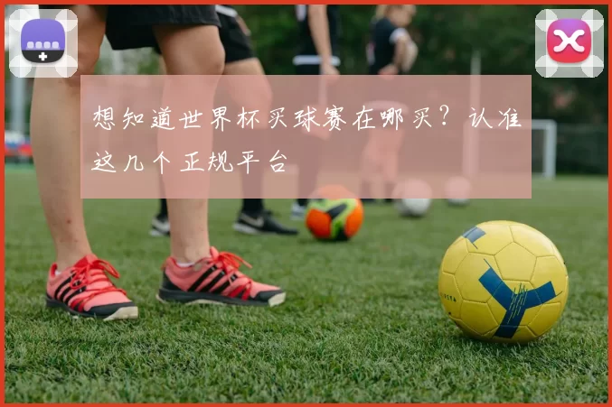 想知道世界杯买球赛在哪买？认准这几个正规平台