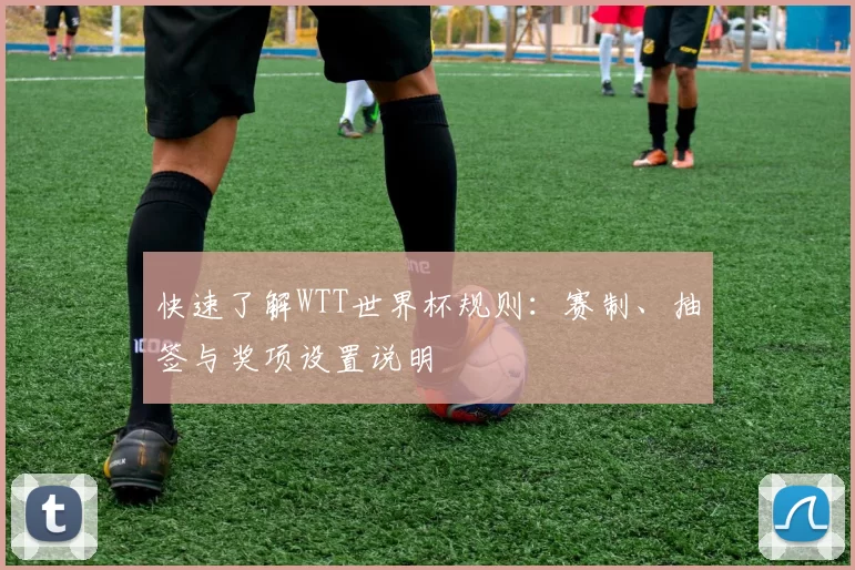 快速了解WTT世界杯规则：赛制、抽签与奖项设置说明