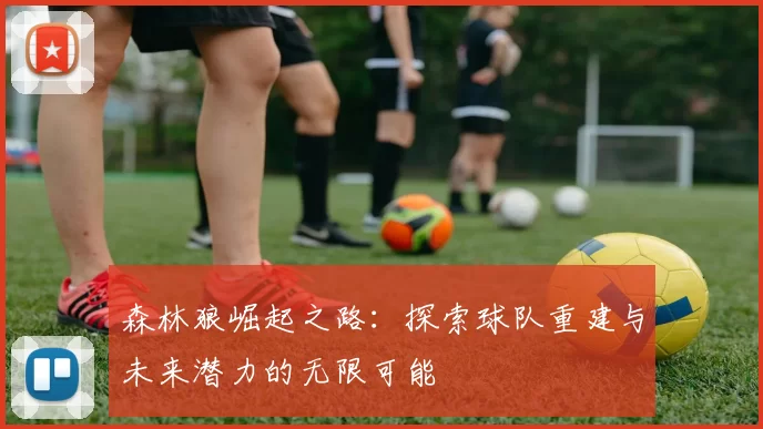 森林狼崛起之路：探索球队重建与未来潜力的无限可能