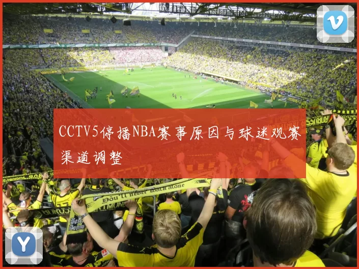 CCTV5停播NBA赛事原因与球迷观赛渠道调整
