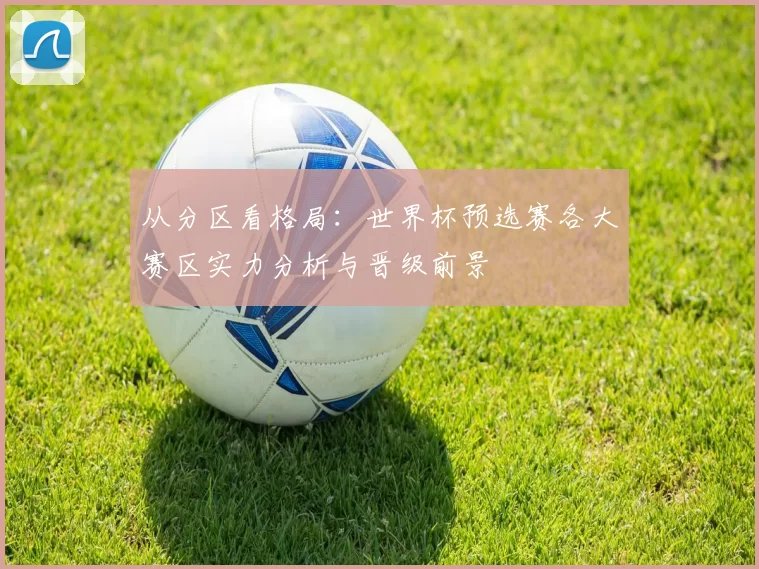从分区看格局：世界杯预选赛各大赛区实力分析与晋级前景