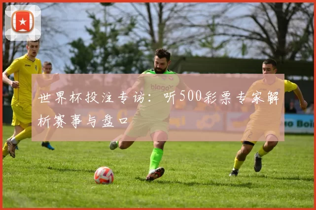世界杯投注专访：听500彩票专家解析赛事与盘口