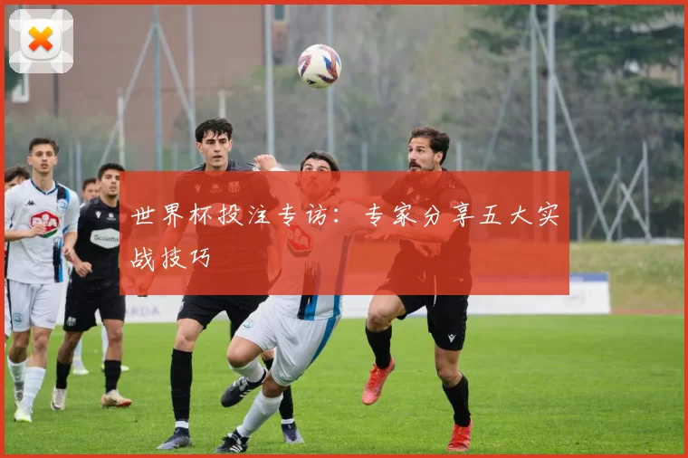 世界杯投注专访：专家分享五大实战技巧