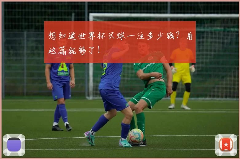 想知道世界杯买球一注多少钱？看这篇就够了！