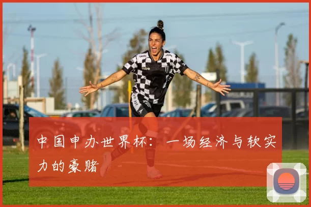 中国申办世界杯：一场经济与软实力的豪赌