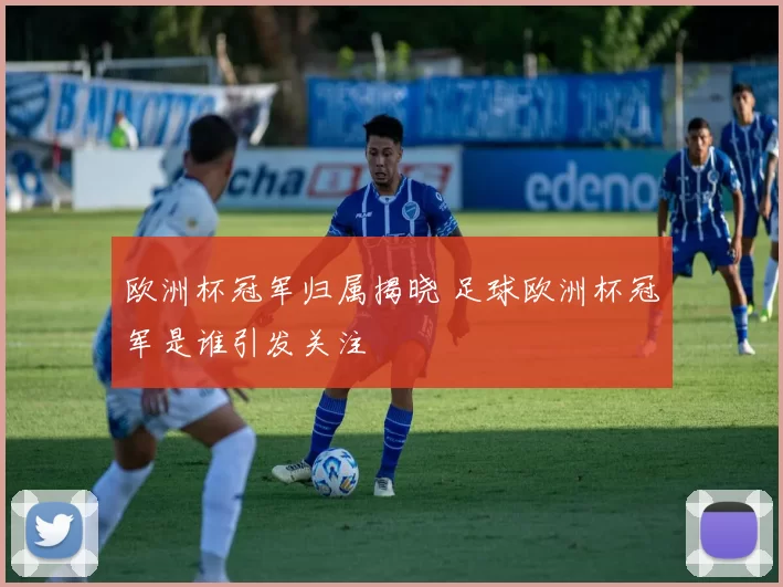 欧洲杯冠军归属揭晓 足球欧洲杯冠军是谁引发关注
