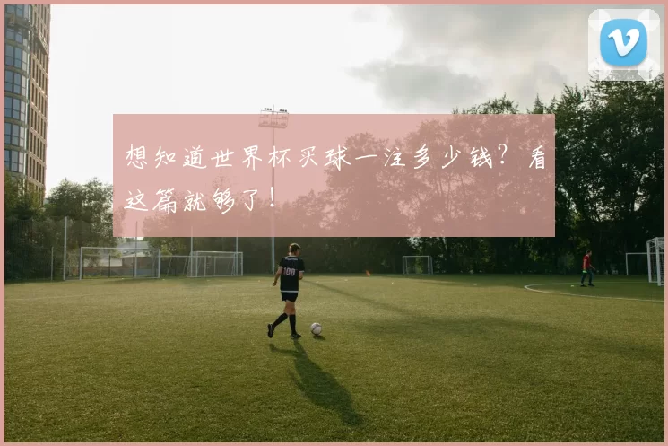 想知道世界杯买球一注多少钱？看这篇就够了！