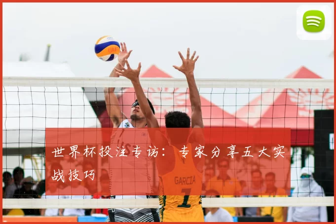 世界杯投注专访：专家分享五大实战技巧