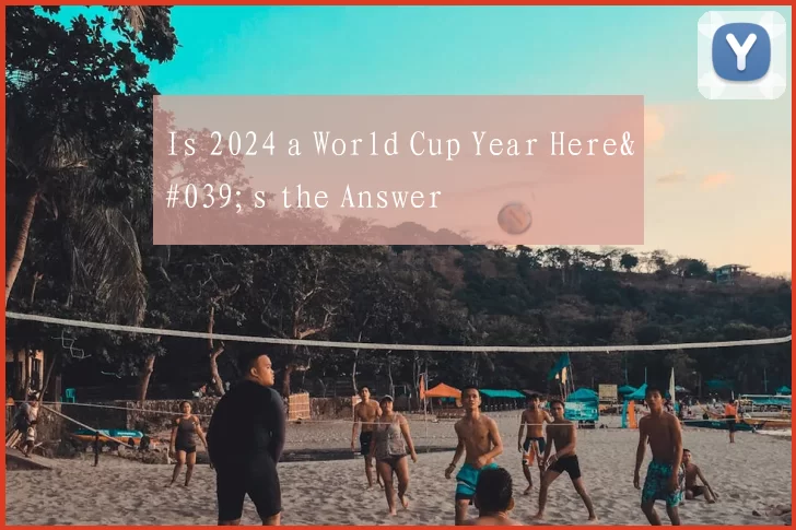 Is 2024 a World Cup Year Here's the Answer