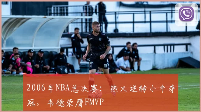 2006年NBA总决赛:热火逆转小牛夺冠,韦德荣膺FMVP