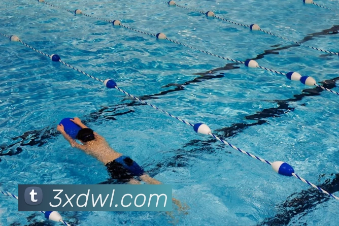 App Interface Preview